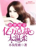 《甜蜜辣妻：亿万总裁太温柔》小说封面