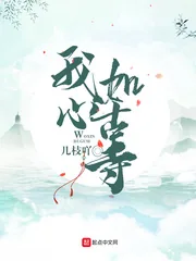 《我心如古寺》小说封面