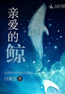 《亲爱的鲸》小说封面