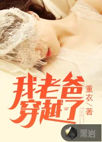 《我老爸穿越了》小说封面