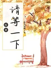 《校草请等一下》小说封面
