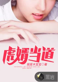 《虎婿当道》小说封面