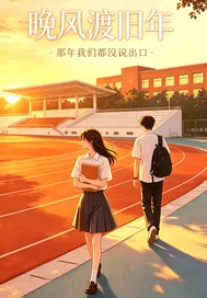 《晚风渡旧年》小说封面