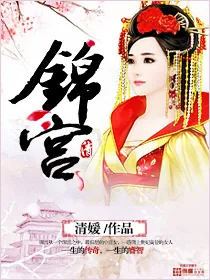 《锦宫》小说封面