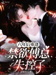 《六年后重逢，禁欲傅总失控了》小说封面