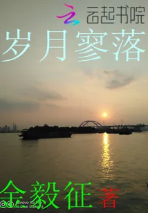 《岁月寥落》小说封面