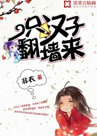 《一只汉子翻墙来》小说封面