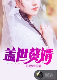 《盖世赘婿》小说封面