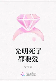 《光明死了都要爱》小说封面