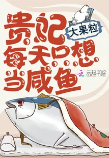 《贵妃每天只想当咸鱼》小说封面