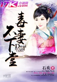 《毒妻不下堂》小说封面