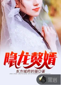《隐龙赘婿》小说封面
