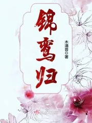 《锦鸾归》小说封面