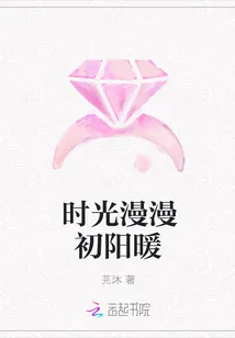 《时光漫漫初阳暖》小说封面