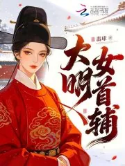 《大明女首辅》小说封面