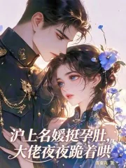 《沪上名媛挺孕肚,大佬夜夜跪着哄》小说封面