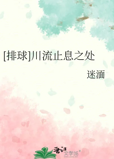 《[排球]川流止息之处》小说封面