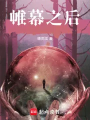 《帷幕之后》小说封面