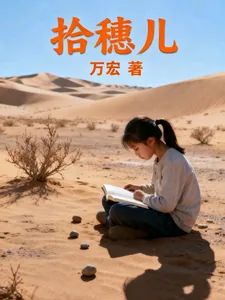 《拾穗儿》小说封面