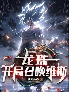 《龙珠:开局召唤维斯》小说封面