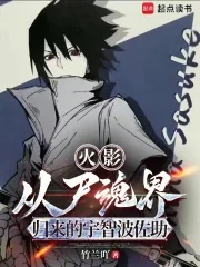 《火影：从尸魂界归来的宇智波佐助》小说封面