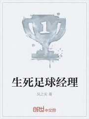 《生死足球经理》小说封面