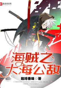 《海贼之大海公敌》小说封面