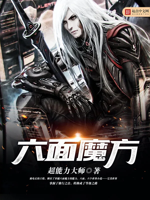 《六面魔方》小说封面