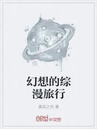《幻想的综漫旅行》小说封面