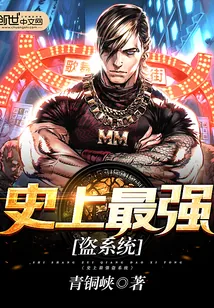 《史上最强盗系统》小说封面