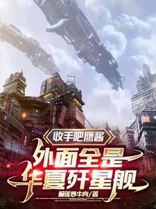 《收手吧鹰酱，外面全是华夏歼星舰》小说封面