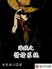 《海贼之情绪系统》小说封面