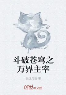 《斗破苍穹之万界主宰》小说封面