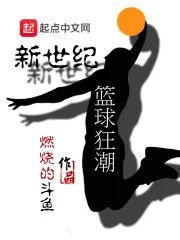 《新世纪篮球狂潮》小说封面