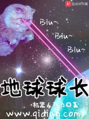 《地球球长》小说封面