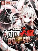《射向天堂的子弹》小说封面