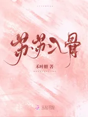 《苏苏入骨》小说封面