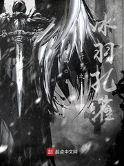 《斗罗之冰羽孔雀》小说封面