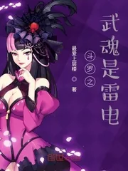 《斗罗之武魂是雷电》小说封面