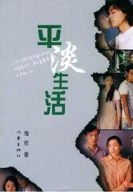 《平淡生活》小说封面