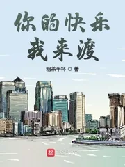 《你的快乐我来渡》小说封面