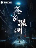 《苍白深渊》小说封面