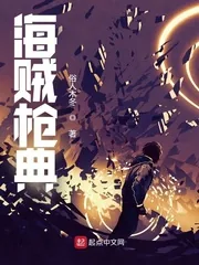 《海贼枪典》小说封面