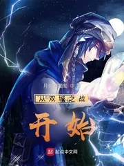 《从双城之战开始》小说封面