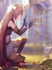 《幻想入侵：我成为了秩序者》小说封面