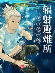 《末日之我有辐射避难所》小说封面