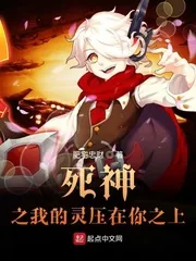 《死神之我的灵压在你之上》小说封面