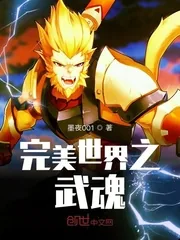 《完美世界之武魂》小说封面