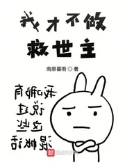 《我才不做救世主》小说封面