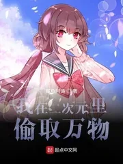 《我在二次元里偷取万物》小说封面